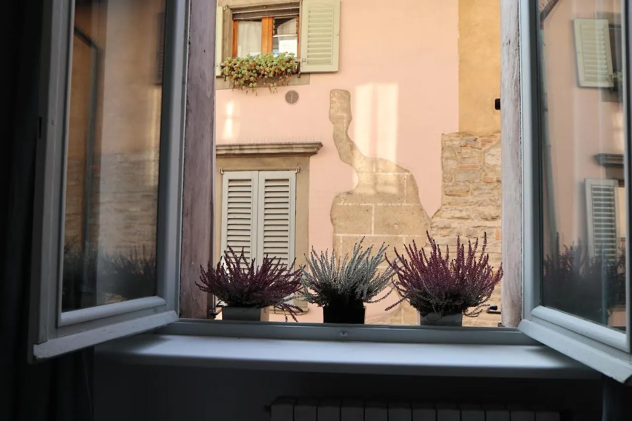 Papavero 69 Bergamo Italy
